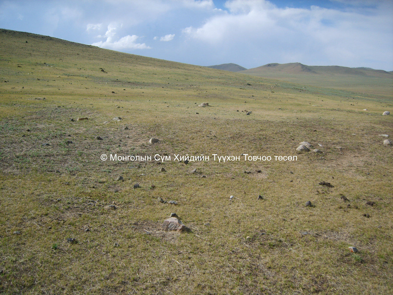 Баруун-Өмнөд талаас авсан 